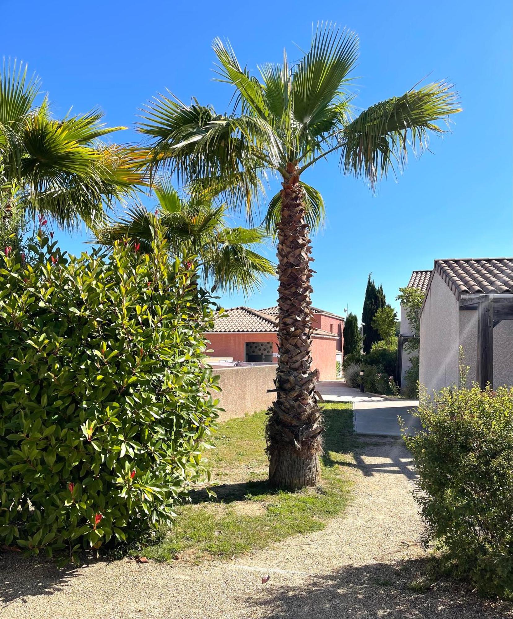 Hotel Terres De France - Le Domaine De Bacchus Saint-Christol  Exterior foto